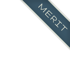 Merit Award Merit Award